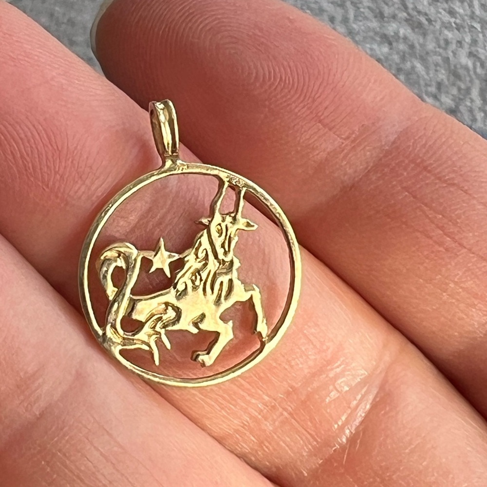 14k yellow gold Capricorn pendant charm - Picture 1 of 5